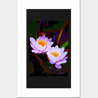 Pond Lily 16 Posters and Art